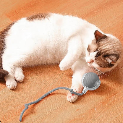 Twinkle Pounce Smart Ball