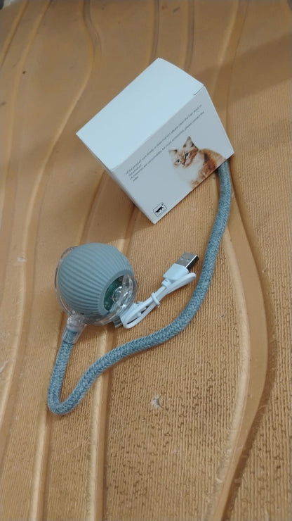 Rechargeable Interactive Cat Toy Ball with Detachable Braided Tail and LED Light (1 Pc)
