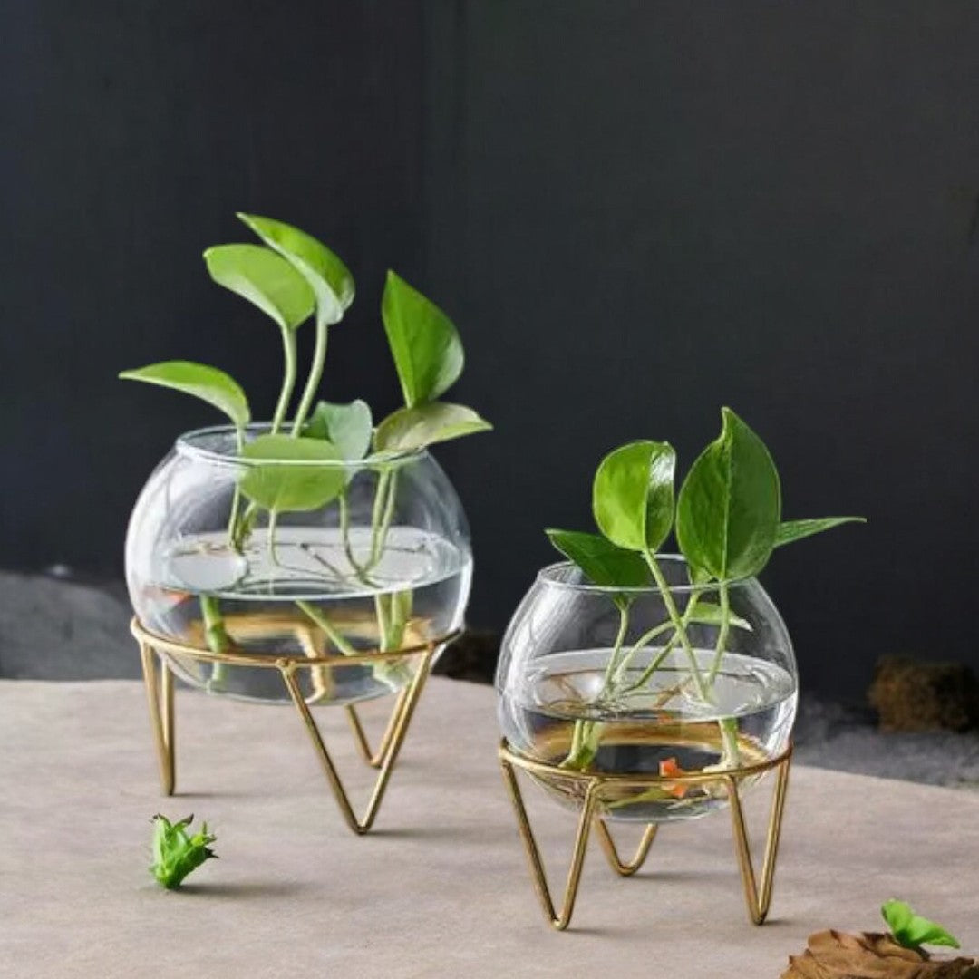 Glass Hydroponic Medium Vase in Metal Stand Candle Holder (Set of 2) 